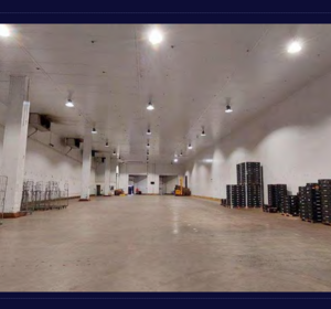 LVBI MAUA/SP